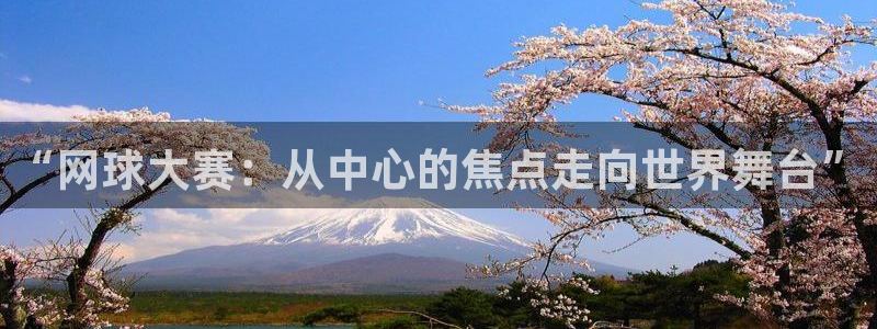 雨燕360直播免费观看nba：“网球大赛：从中心的焦点走向世界舞台”