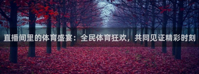 雨燕360直播下载：直播间里的体育盛宴：全民体育狂欢，共同见证精彩时刻