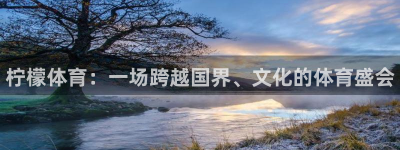 雨燕360直播入口：柠檬体育：一场跨越国界、文化的体育盛会