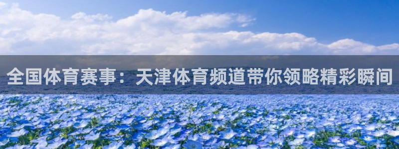雨燕360直播nba免费观看：全国体育赛事：天津体育频道带你领略精彩瞬间