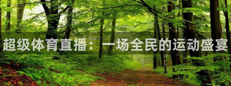 雨燕360直播入口：超级体育直播：一场全民的运动盛宴