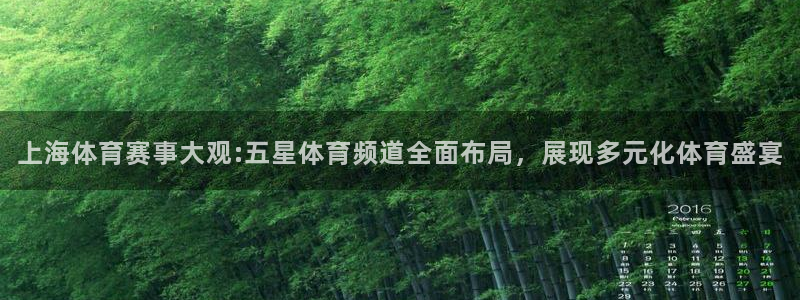雨燕360直播入口：上海体育赛事大观:五星体育频道全面布局，展现多元化体育盛宴