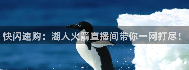雨燕360直播足球免费直播：快闪速购：湖人火箭直播间带你一网打尽！