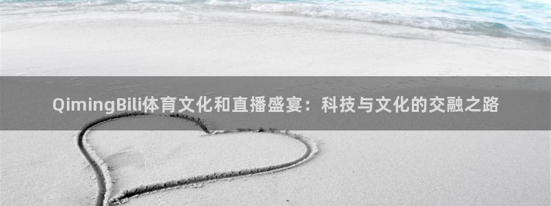 雨燕360直播足球直播在线直播：QimingBili体育文化和直播盛宴：科技与文化的交融之路