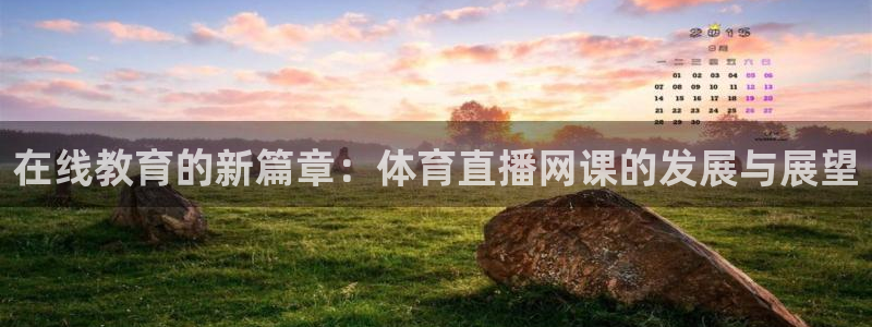 雨燕360直播体育免费观看直播：在线教育的新篇章：体育直播网课的发展与展望