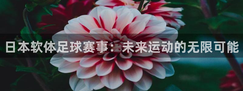 雨燕360直播nba比赛：日本软体足球赛事：未来运动的无限可能