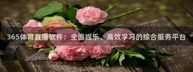 雨燕360直播高清nba：365体育直播软件：全面娱乐、高效学习的综合服务平台