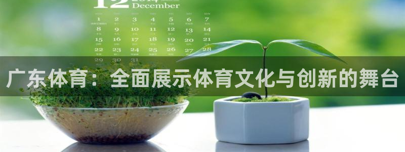雨燕360直播：广东体育：全面展示体育文化与创新的舞台