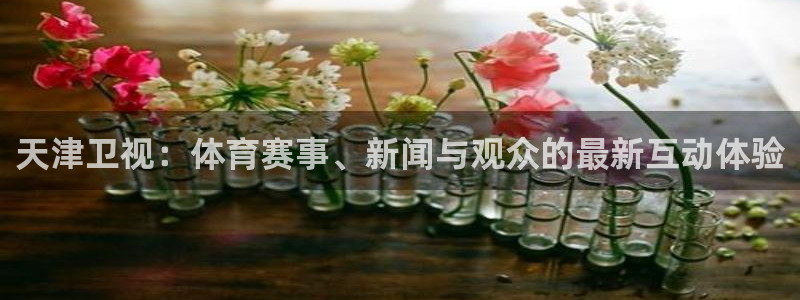 雨燕360直播足球：天津卫视：体育赛事、新闻与观众的最新互动体验