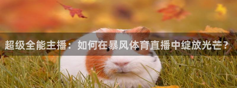 雨燕360直播免费观看直播足球比赛：超级全能主播：如何在暴风体育直播中绽放光芒？