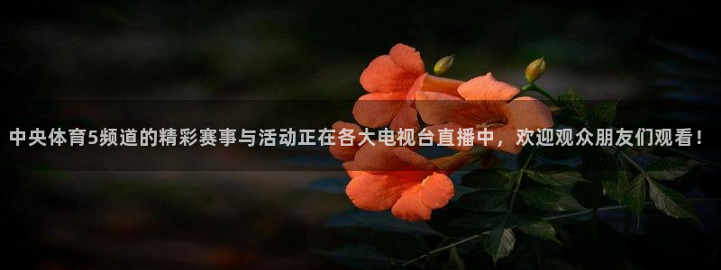 雨燕360直播体育下载：中央体育5频道的精彩赛事与活动正在各大电视台直播中，欢迎观众朋友们观看！