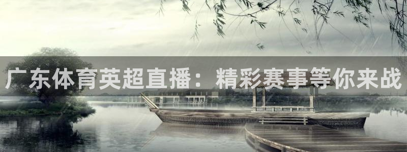 雨燕360直播高清nba：广东体育英超直播：精彩赛事等你来战