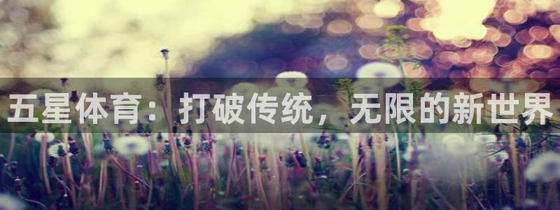 雨燕360直播nba直播：五星体育：打破传统，无限的新世界