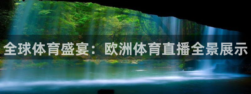 雨燕360直播：全球体育盛宴：欧洲体育直播全景展示