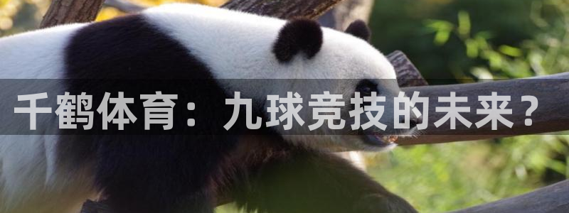 雨燕360直播免费观看nba：千鹤体育：九球竞技的未来？