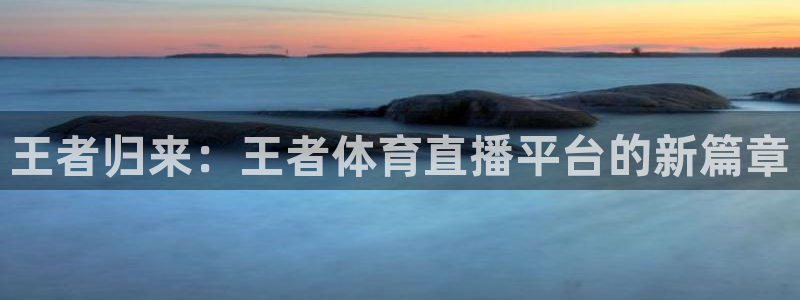 雨燕360直播世界杯：王者归来：王者体育直播平台的新篇章