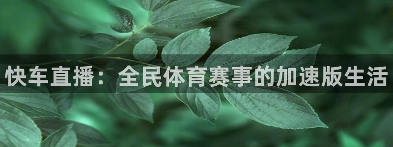 雨燕360直播下载：快车直播：全民体育赛事的加速版生活