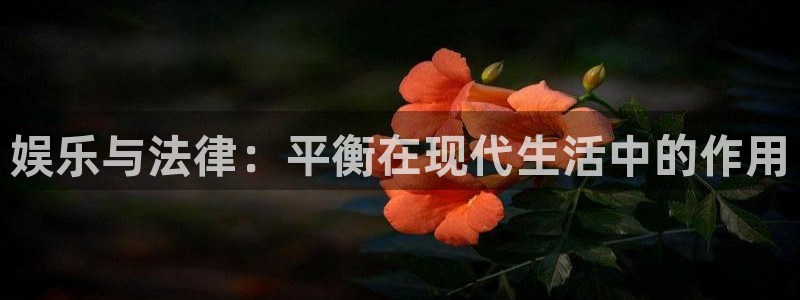 长征娱乐app登录入口